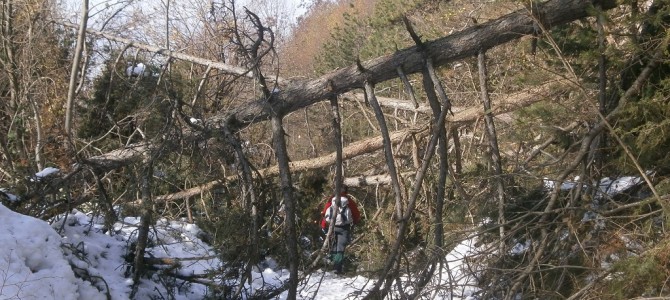 Zakrčeni planinarski putovi na Ćićariji