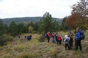 7-na putu prema gomili