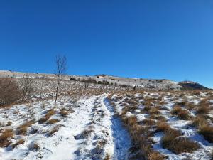 Festival suma 2025-007