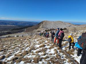 Festival suma 2025-008