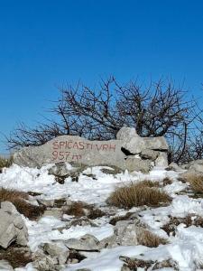 Festival suma 2025-010