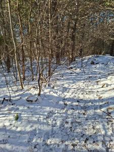 Festival suma 2025-011