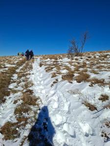 Festival suma 2025-012