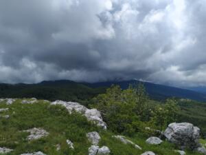 IMG 20200611 121623