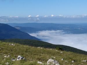 IMG 20200612 081031