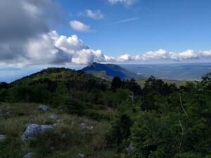 IMG 20200612 091605