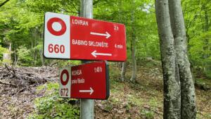 210529 PD Knezgrad putokazi K6  j. od Babinog skl.