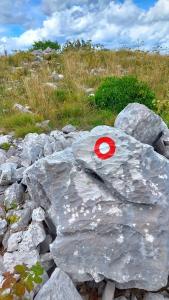 8-j.-strana-Spicastog-vrha