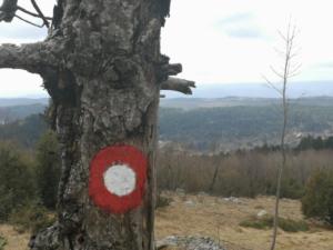 mark. tečaj PD Glas Istre 7